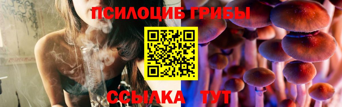 Псилоцибиновые грибы GOLDEN TEACHER Казань